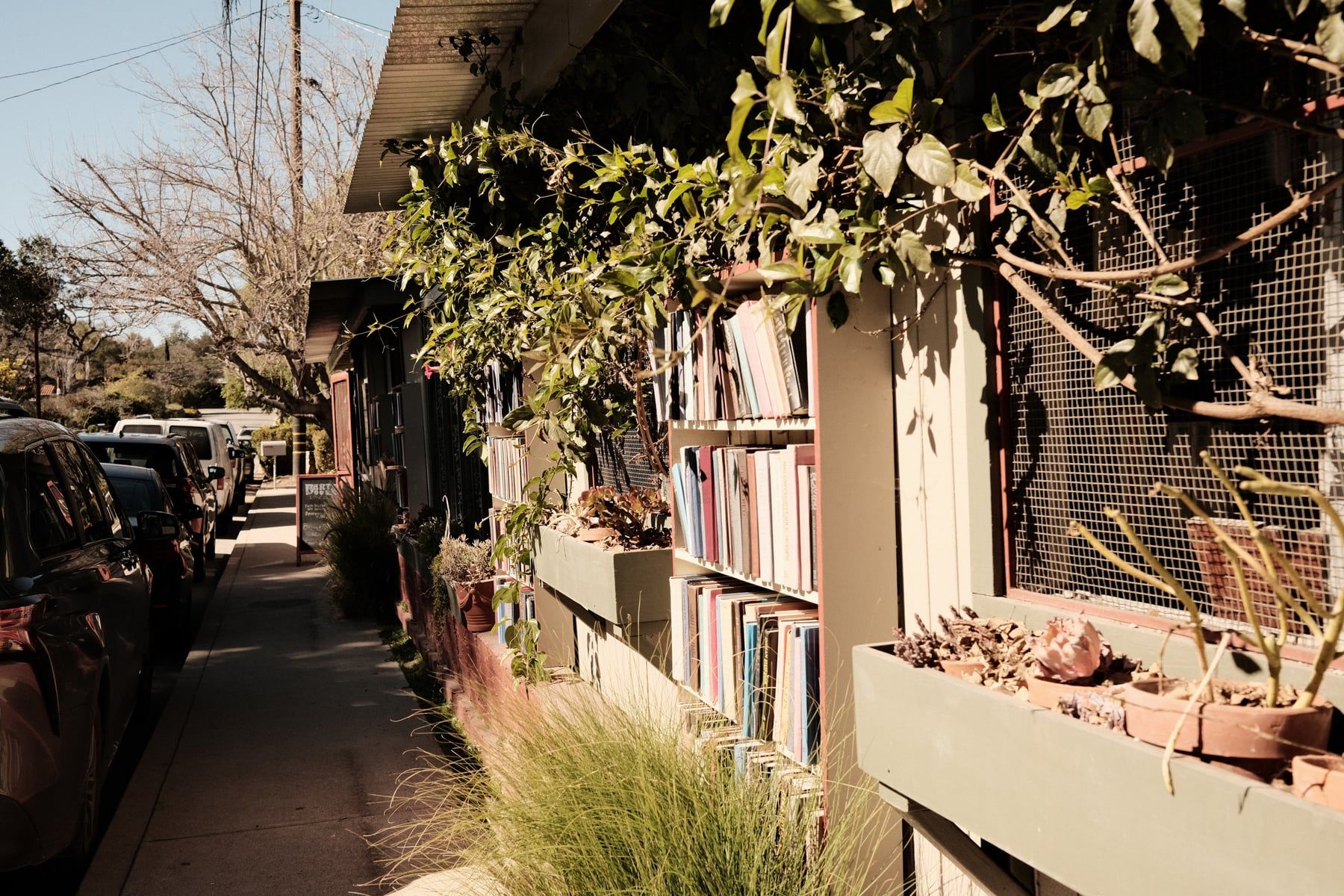 Bart’s Books exterior in Ojai, outdoor shelves lining the sidewalk beneath vines in afternoon light